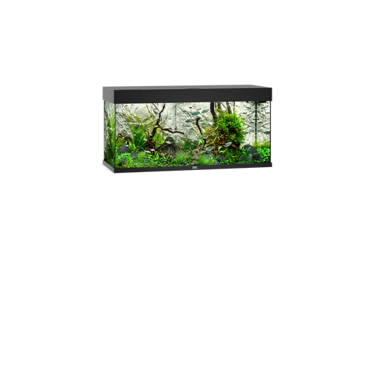 Juwel Rio 180 Aquarium