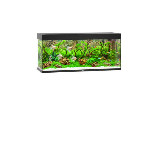 Juwel Rio 240 Aquarium