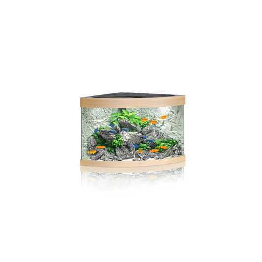 Juwel Trigon 190 Aquarium (TANK ONLY)