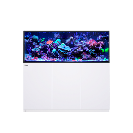 REEFER 525 G3 (Black or White)