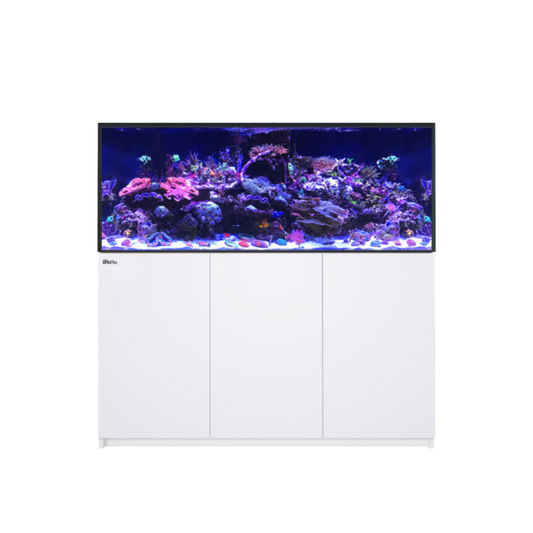 REEFER 625 G3 (Black or White)