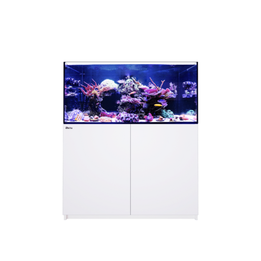 REEFER 350 G3 (Black or White)