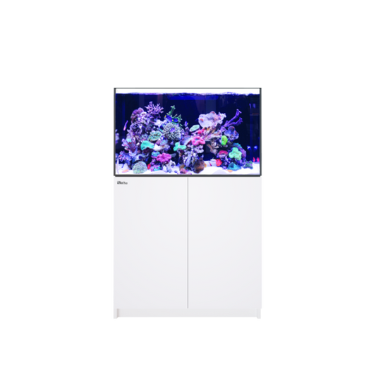 REEFER 300 G3 (Black or White)