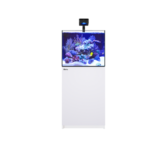 REEFER 200 G3 (Black or White)