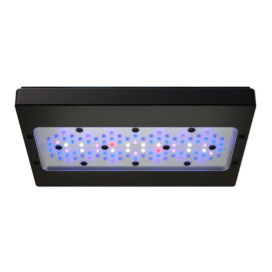 Radion XR30G6BLUE LED Light