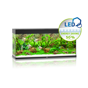 Juwel Rio 240 Aquarium