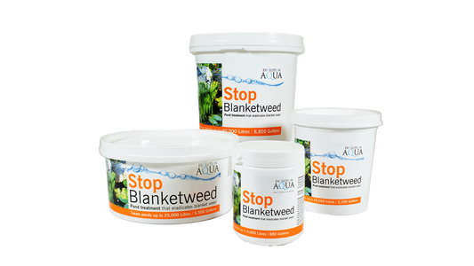 Stop Blanket Weed!