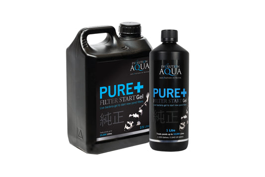 Pure+ Filter Start Gel