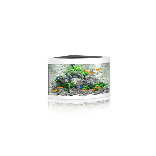 Juwel Trigon 190 Aquarium (TANK ONLY)