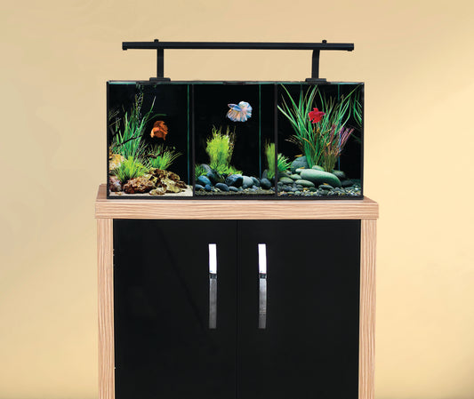 Betta Trio - 3 in 1 Glass Aquarium 55 x 25 x 25cm 32 Litres