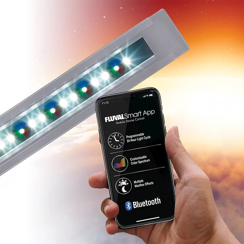 Roma 90 Bluetooth LED Aquarium Set, 24 US Gal / 90 L