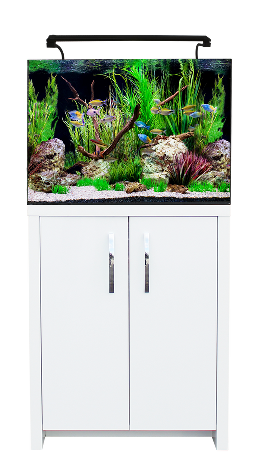 AquaNano 60 2xLED 17W Light 240V/50Hz