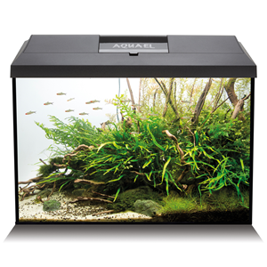 AQUAEL LEDDY TALL 60 A/RIUM BLK