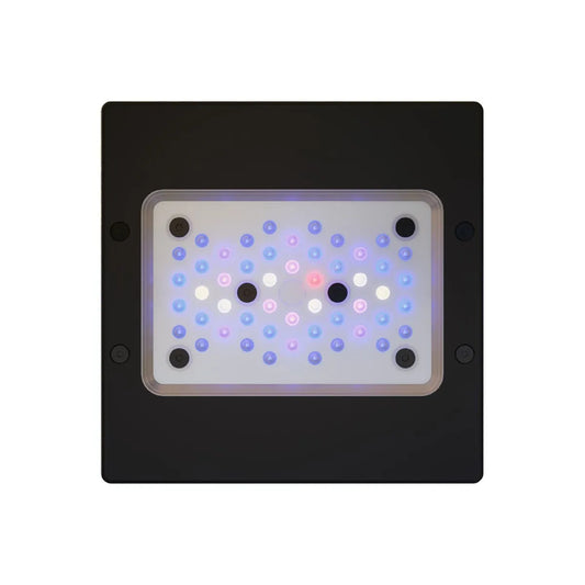 Radion XR15G6BLUE LED Light