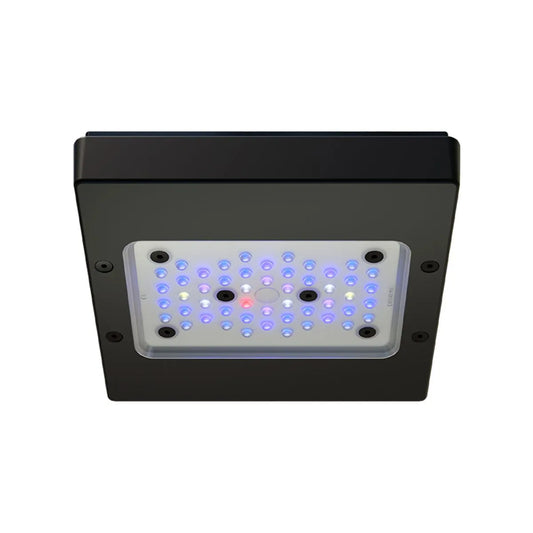 Radion XR15G6BLUE LED Light