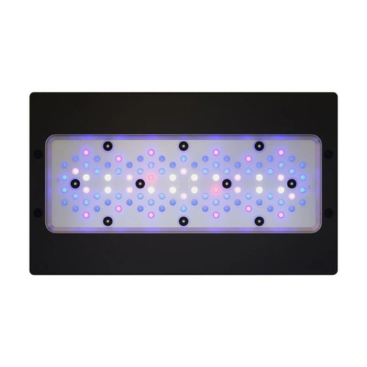 Radion XR30G6BLUE LED Light